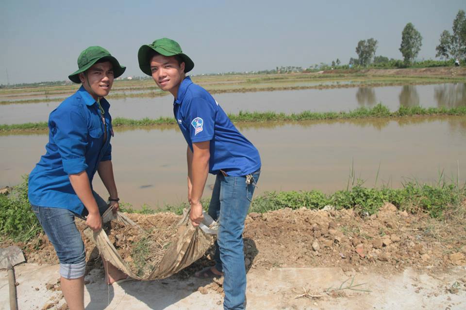 Chiến dịch mùa hè xanh 2015 tại xã Đông Phương, Huyện Kiến Thụy - ảnh 5