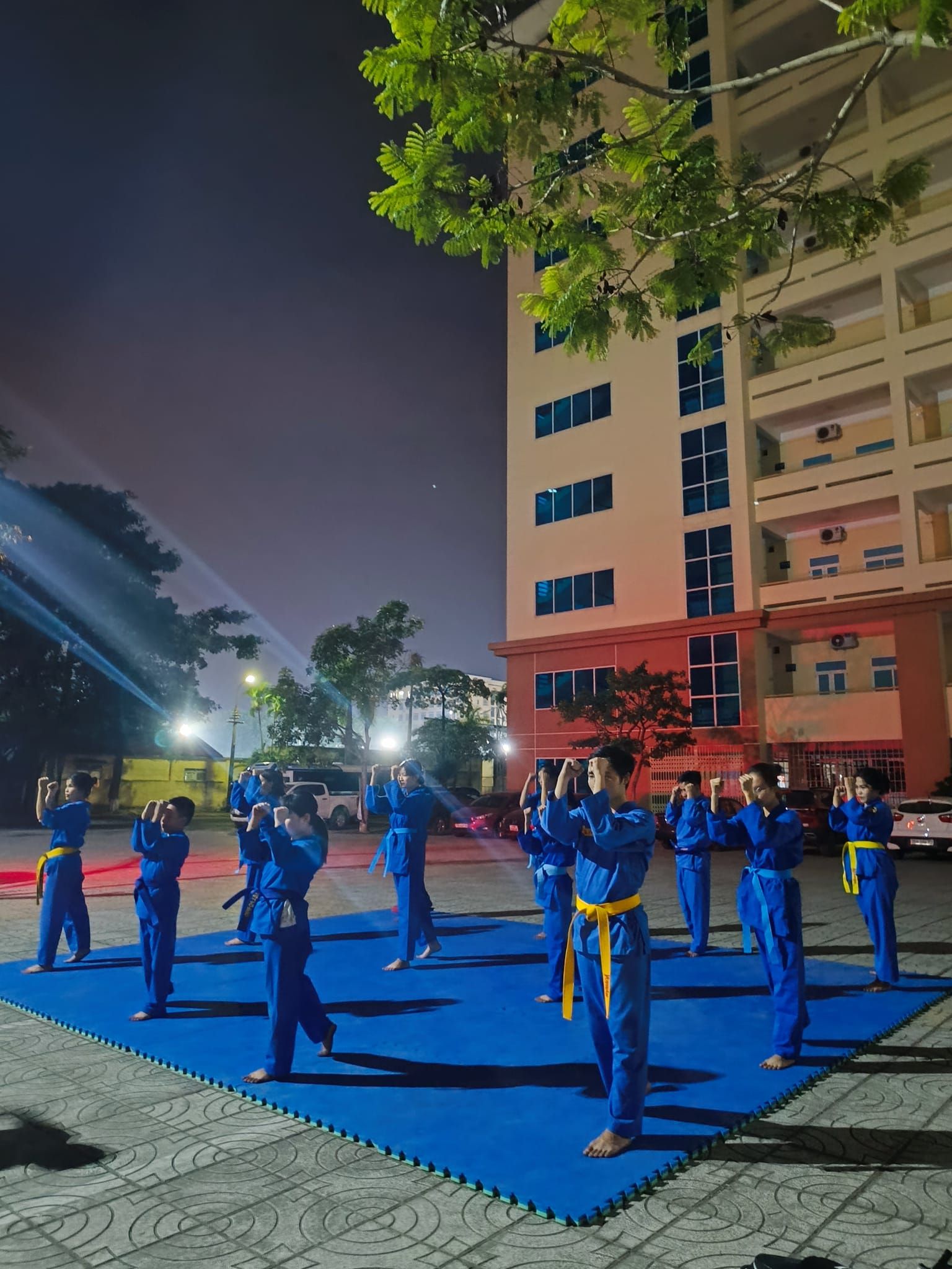 Hoạt động